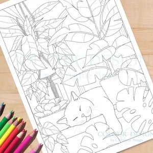 Página para colorear de gatos y plantas, página para colorear de plantas de interior para imprimir, decoración del hogar con plantas de interior, descarga de Cat Lady, tamaño A4 y carta