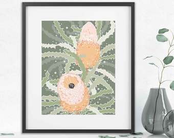 Impression encadrée de fleurs de Banksia : art botanique de la flore indigène d'Australie