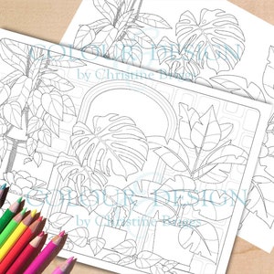 Páginas para colorear de plantas de interior, plantas de interior para imprimir, página para colorear de monstera, descarga de suculentas, hoja de actividades para amantes de las plantas, tamaño A4 y carta