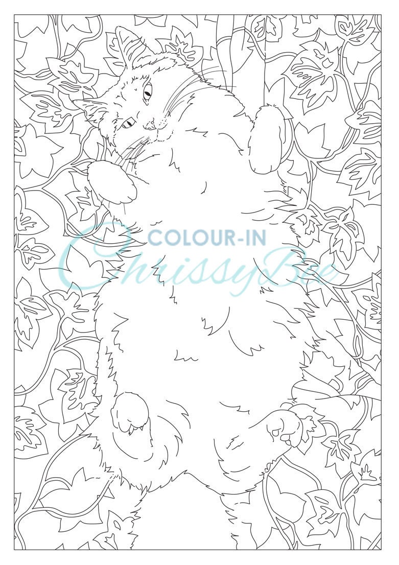 Cat Coloring Book Cats and Cat Cafes Cat Colouring Book | Etsy