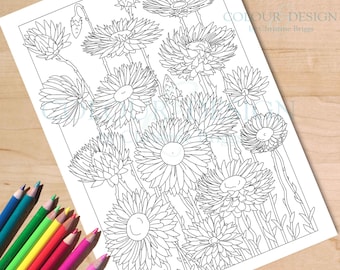 Fleurs sauvages australiennes à colorier, fleurs éternelles imprimables PDF