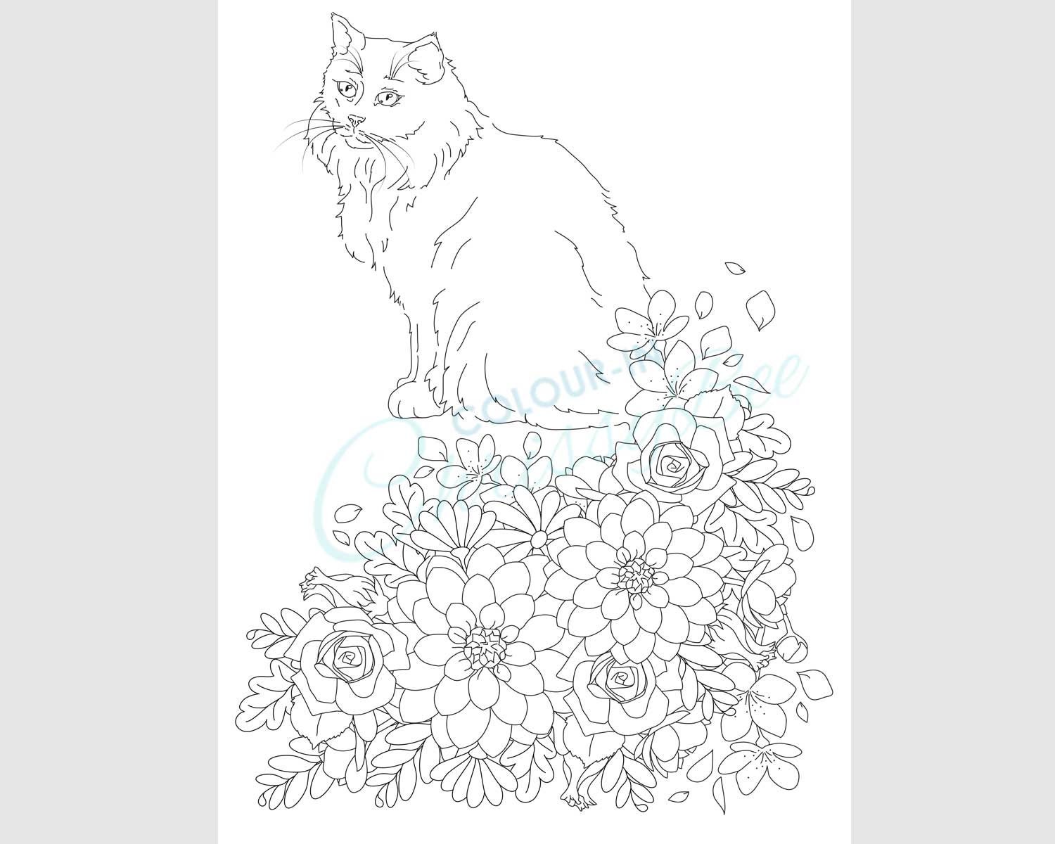 Girls Coloring Pages with Cats & Flowers Graphic by AnaSt