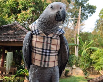 Parrot-Bird-Cockatiel-cockatoo-Parakeet-Macaw-Conure-hoodie bird cloths