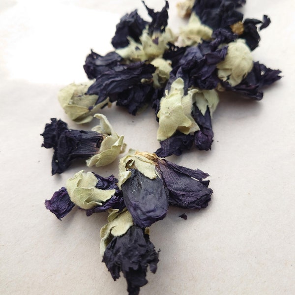 HOLLYHOCK MALLOW ROSE ~ Mallow Rose flowers black, whole, natural dye, eco print, natural dyeing, flower printing, malva rose, black flower