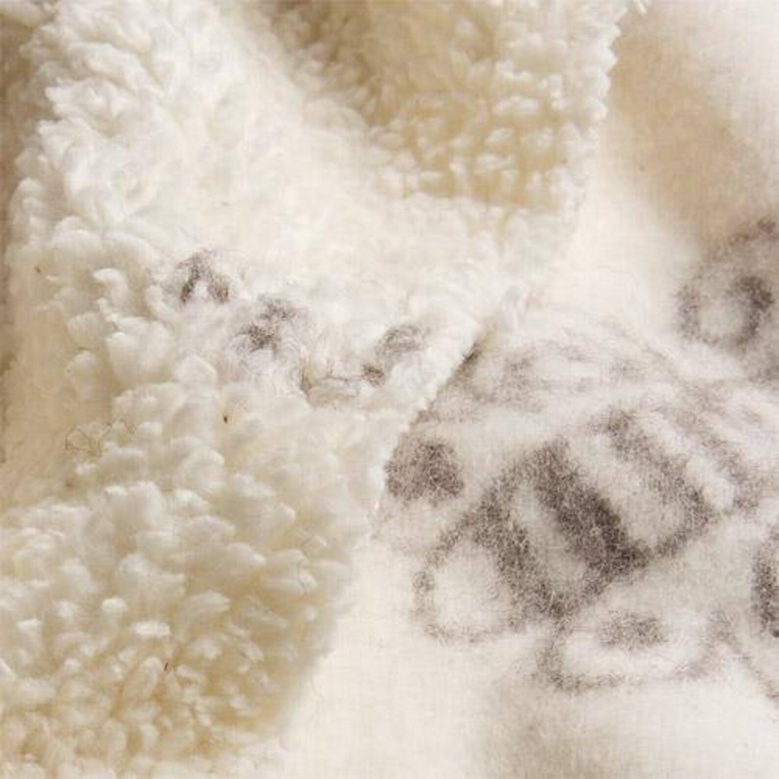 ORGANIC Cotton Wool Fabric Zoo Plush Cotton and Wool Etsy