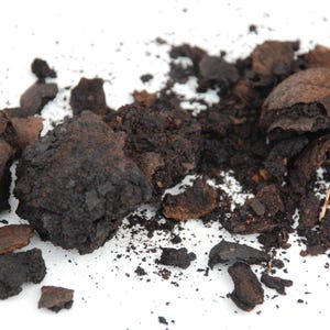 dark brown, black walnut shells crushed