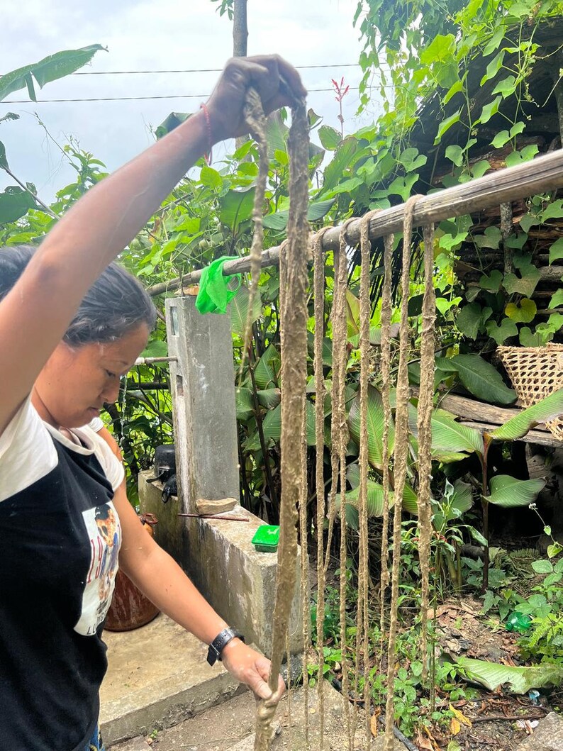 May include: A person holding several strands of a natural fiber material, possibly rope or cord, outdoors. The strands are a light brown color and appear to be freshly made or treated. The background includes lush green foliage and a metal railing.