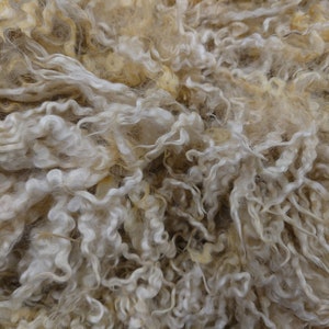 NATURAL MOUNTAIN Sheep LOCKS in lanolin ~ to spin, felt, dye, craft, stuffing, doll hair, felt making, spinning yarn, weaving, texture fibre