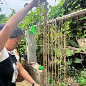 drying nettle fibre
