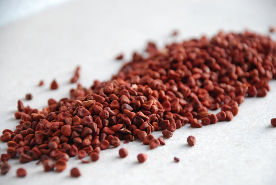 Natural Dyeing ANNATTO SEEDS ORGANIC Natural Plant Dye for Orange and