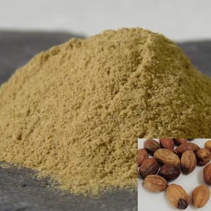 MYROBALAN TANNIN MORDANT ~ available in whole and ground. Suitable for print making, dyeing and mordanting of cotton and linen fabrics