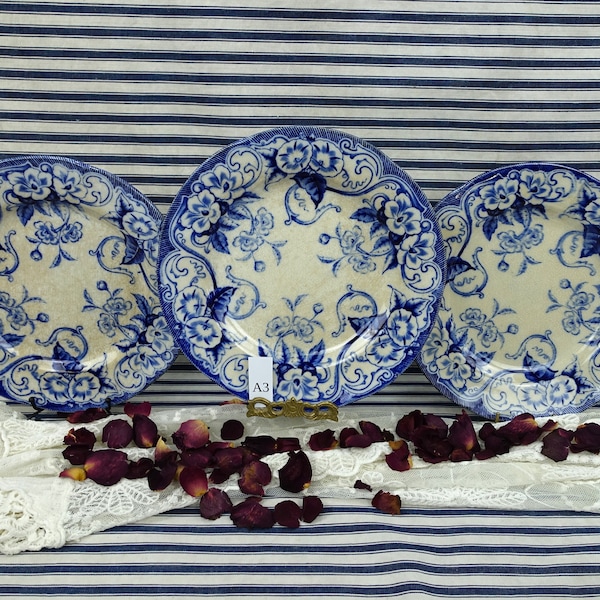 Set Of Three Creil Et Montereau Salad Plates, 1850's "Floral" Pattern Set Of Three 9" Dinner Plates, Terre De Fer Three Matching Plates, VGC