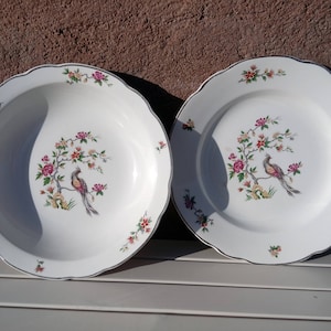 French vintage Digoin Sarreguemines plate and bowl duo, &quot;Conde&quot; design, vintage french ceramics, cottage decor, peacock & floral design