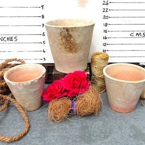 Three French Antique Seedling Pots, Three Terracotta Flower Pots,  The Three Pots As Shown, 1900&#39;s Manor House Garden Pots, Great Patina
