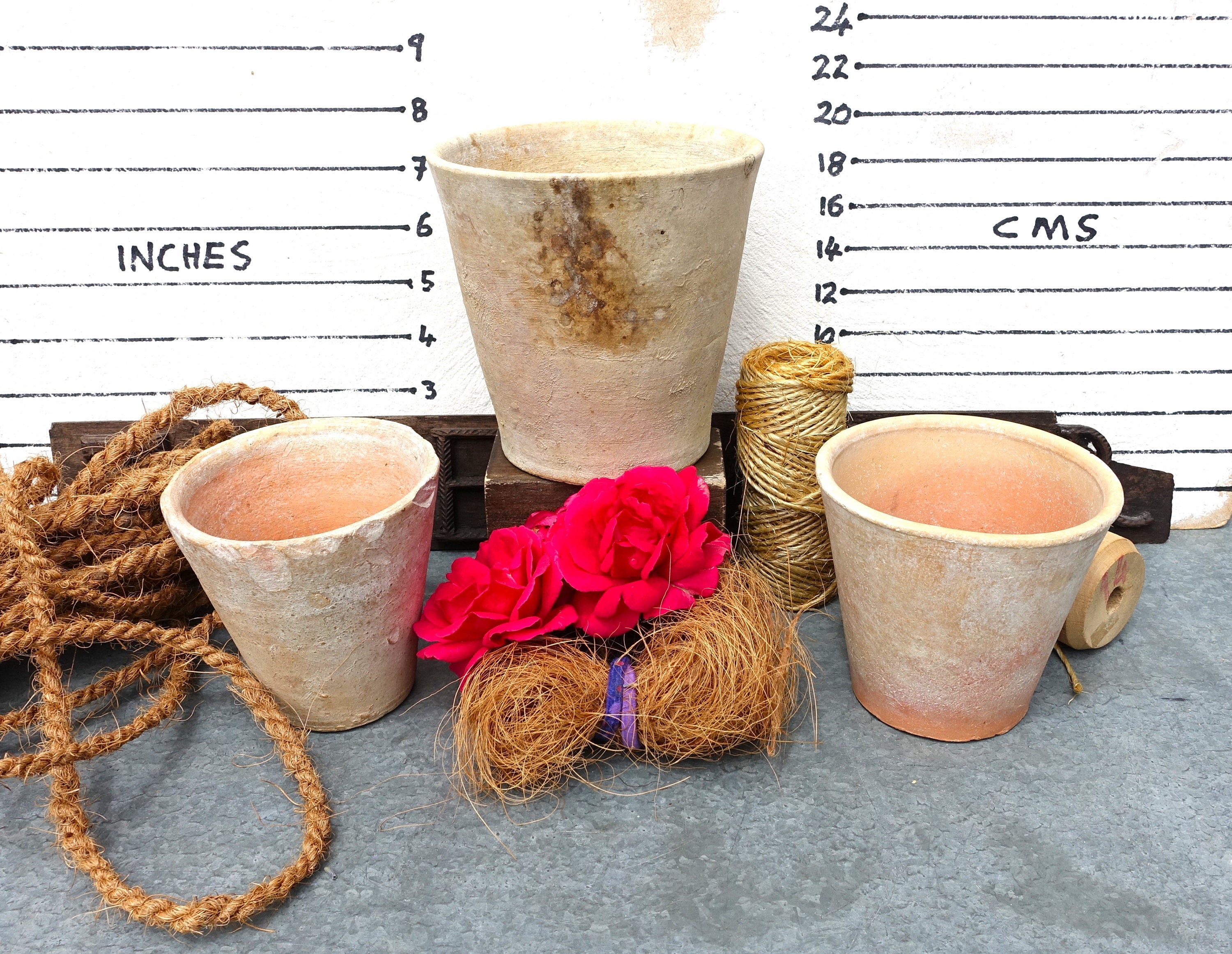 アンティークなフランス製テラコッタ苗ポット：1900年代のマナーハウス