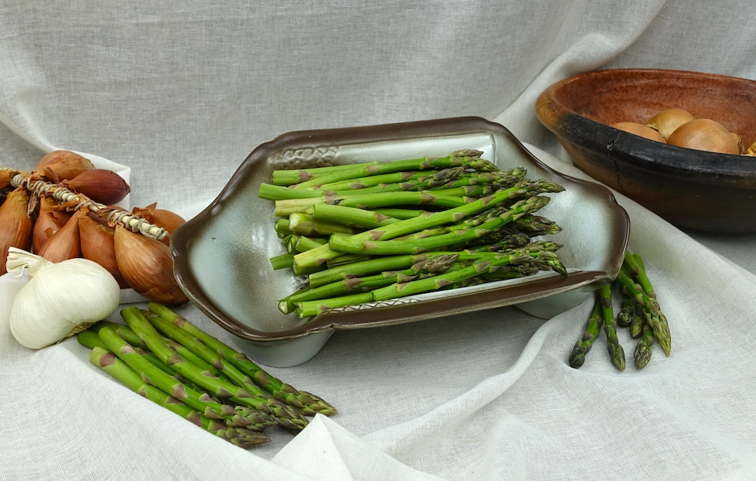 Plat à Asperges Ancien Salins – Céramique Blanche Art Nouveau – 1920