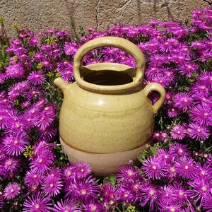 May include: A handcrafted, light yellow ceramic pitcher with a rounded body, a handle, and a spout. The pitcher is set against a backdrop of vibrant purple flowers with yellow centers. The flowers are in full bloom, creating a colorful contrast.
