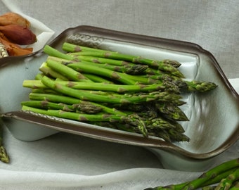Plat à Asperges Ancien Salins – Céramique Blanche Art Nouveau – 1920