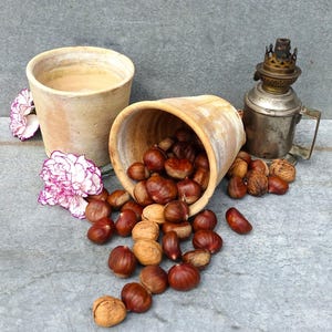 Może przedstawiać: Dwa gliniane garnki, jeden przewrócony, z których wysypują się brązowe kasztany. W pobliżu stoi zabytkowa lampa naftowa, a w tle widać różowe goździki.