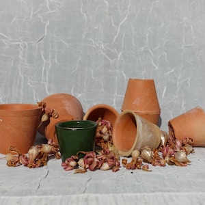 Può includere: Un assortimento di vasi in terracotta e una piccola tazza in ceramica verde sono disposti su una superficie grigio chiaro. Boccioli di fiori secchi sono sparsi intorno ai vasi. I vasi variano per dimensioni e forma.