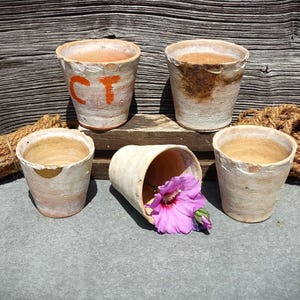 Op de afbeelding: Vijf verweerde terracotta potten met een rustieke, verouderde afwerking. Eén pot heeft de oranje letters CT, een andere heeft donkerbruine vlekken en één ligt op zijn kant met een felroze hibiscusbloem met een wit hart erin.