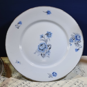 Antique French Limoges Porcelain Cake Stand, Vintage French Decorative Pedestal Dessert Plate, French Compote, French Blue Transferware