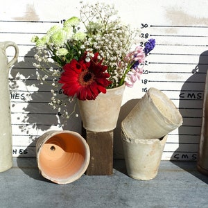 Może przedstawiać: Cztery doniczki z terakoty, dwie z białą farbą, jedna z czerwoną gerberą i jedna pusta. Doniczki są ustawione na drewnianej powierzchni z dwoma szklanymi butelkami w tle.