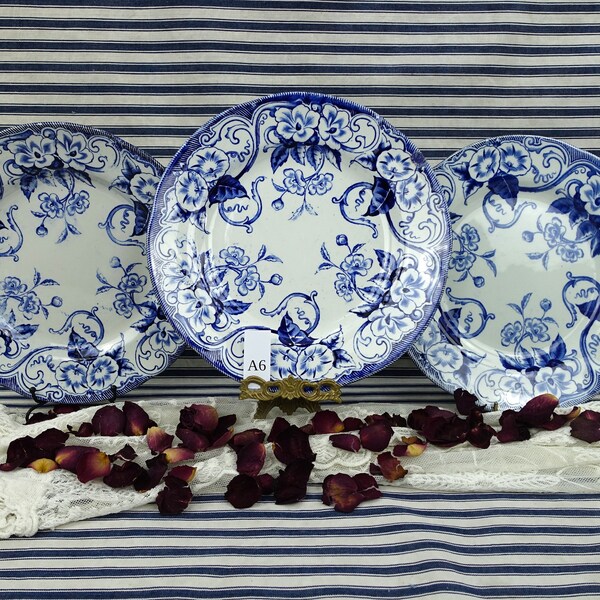 "Set von drei Creil Et Montereau Salattellern, ""Floral"" -Muster von 1850 Set von drei 9-Zoll-Speisetellern, Terre De Fer Drei passende Teller."