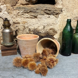 Może przedstawiać: Dwa gliniane garnki, jeden z kolekcją brązowych kasztanów w środku, a drugi pusty. Stara mosiężna lampa naftowa stoi na drewnianym bloku po lewej stronie garnków. Dwie zielone szklane butelki stoją po prawej stronie garnków.