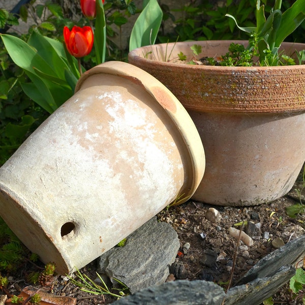 Grand pot en terre cuite antique Français, pot de fleur en terre cuite inhabituel, pot de jardin de manoir des années 1900, grande patine et une antiquité totalement utilisable