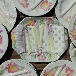 1900 French Asparagus Service, Ironstone Serving Dish & 12 Plates, &quot;St Clements&quot; Beautiful Art Nouveau Stylized Floral Decor, Asparagus SET