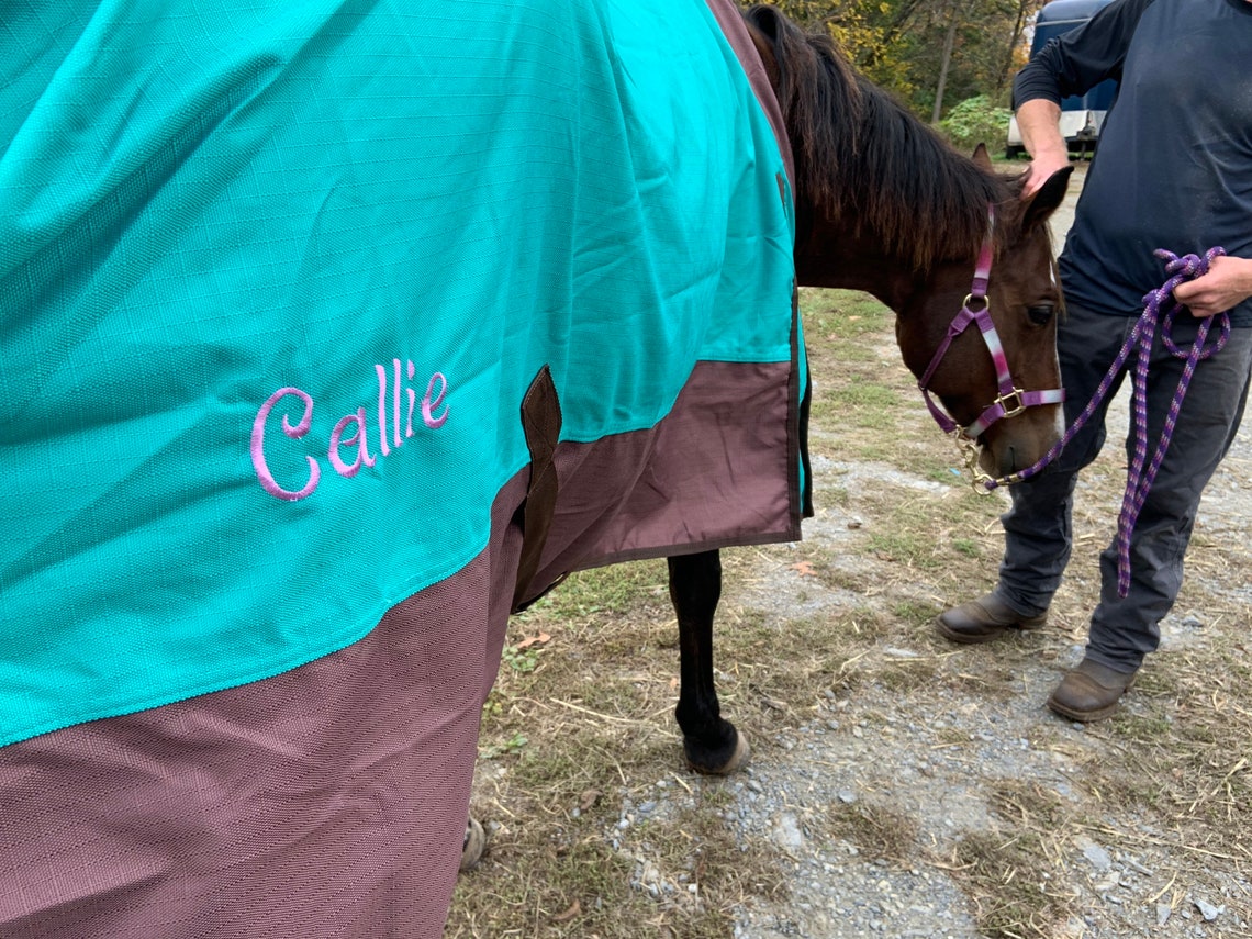 Personalized Horse Blanket Embroidered Horse Sheet Horse Etsy