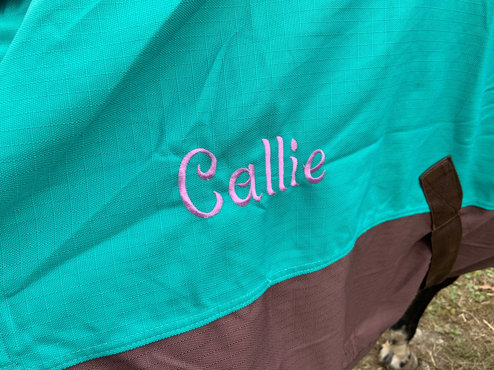 Personalized Horse Blanket Embroidered Horse Sheet Horse Etsy