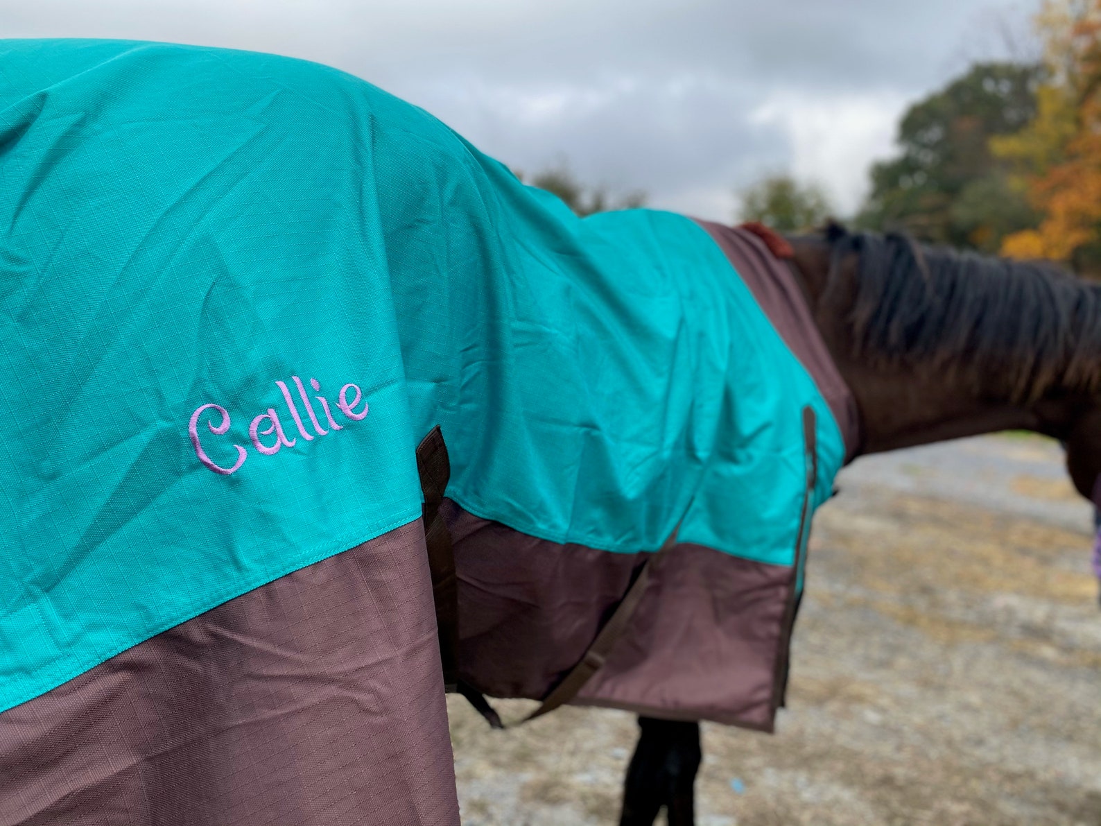 Personalized Horse Blanket Embroidered Horse Sheet Horse Etsy