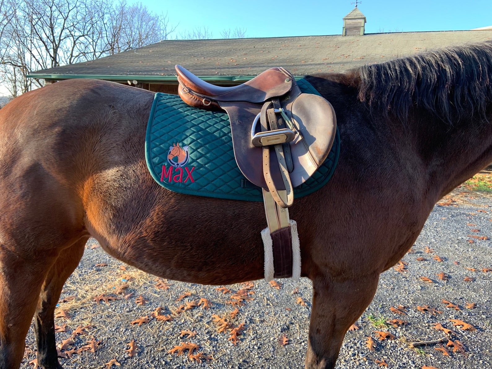Personalized Embroidered English Saddle Pad Blanket Horse Etsy
