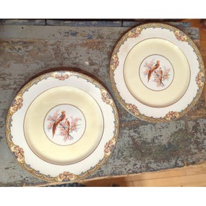 May include: Two vintage ceramic plates. Each plate has a cream-colored center with a bird and floral design. The rims are white with a decorative floral and gold border. The plates are on a weathered wooden surface.