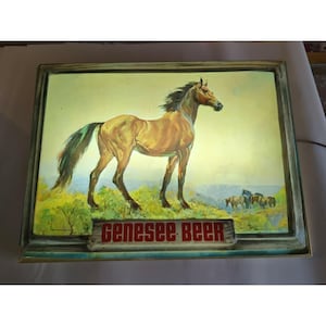 May include: A rectangular illuminated Genesee Beer sign featuring a large brown horse standing in a grassy field with a herd of smaller horses in the background. The sign has a weathered frame and the text Genesee Beer in red lettering at the bottom.