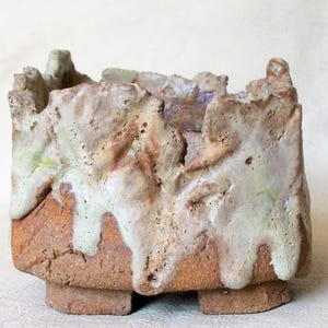 Bonsai, kaktus, suckulent, caudex kruka.