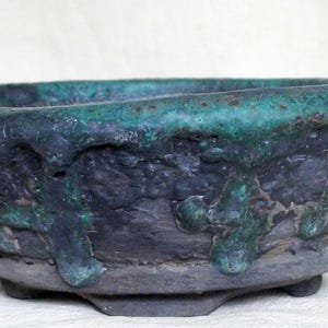 Bonsai, Kaktus, Sukkulente, Caudex-Topf.