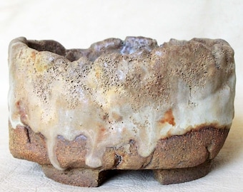 Bonsai, Cactus, Succulent, Caudex pot.