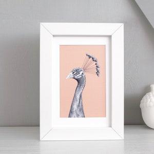 Bird Print - A4 Peahen Print - Bird Wall Art - Modern Wall Art - Colourful Print - British Bird Art - Nature Print - Pink Home Decor