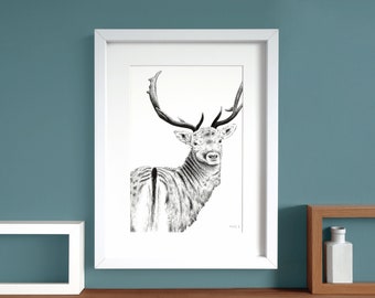 Stag Wall Art - A4 Highland Stag - Black and White Print