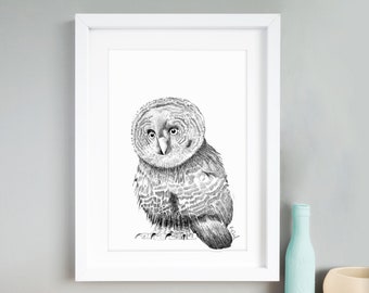 Baby Owl Print - British Wildlife - A3 illustration - Gallery Wall Art
