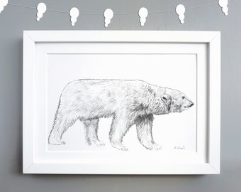 Polar Bear Print A4 - A4 Wildlife Print - Polar Bear Illustration - Black and White Print