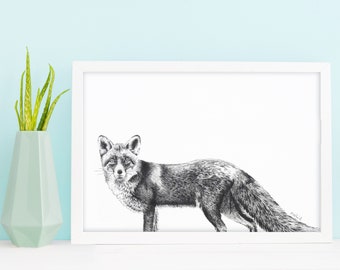 Woodland Fox Art Print: British Wildlife Illustration (A4)