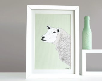 Sheep Print - Nature Illustration - Farm animal wall art