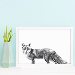 Woodland Fox Print - A4 Fox Print - British Wildlife Print - Wildlife art - Fathers Day Gift - Gift For Him