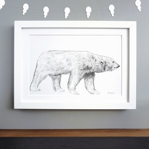 Polar Bear Print A4 - A4 Wildlife Print - Polar Bear Illustration - Black and White Print