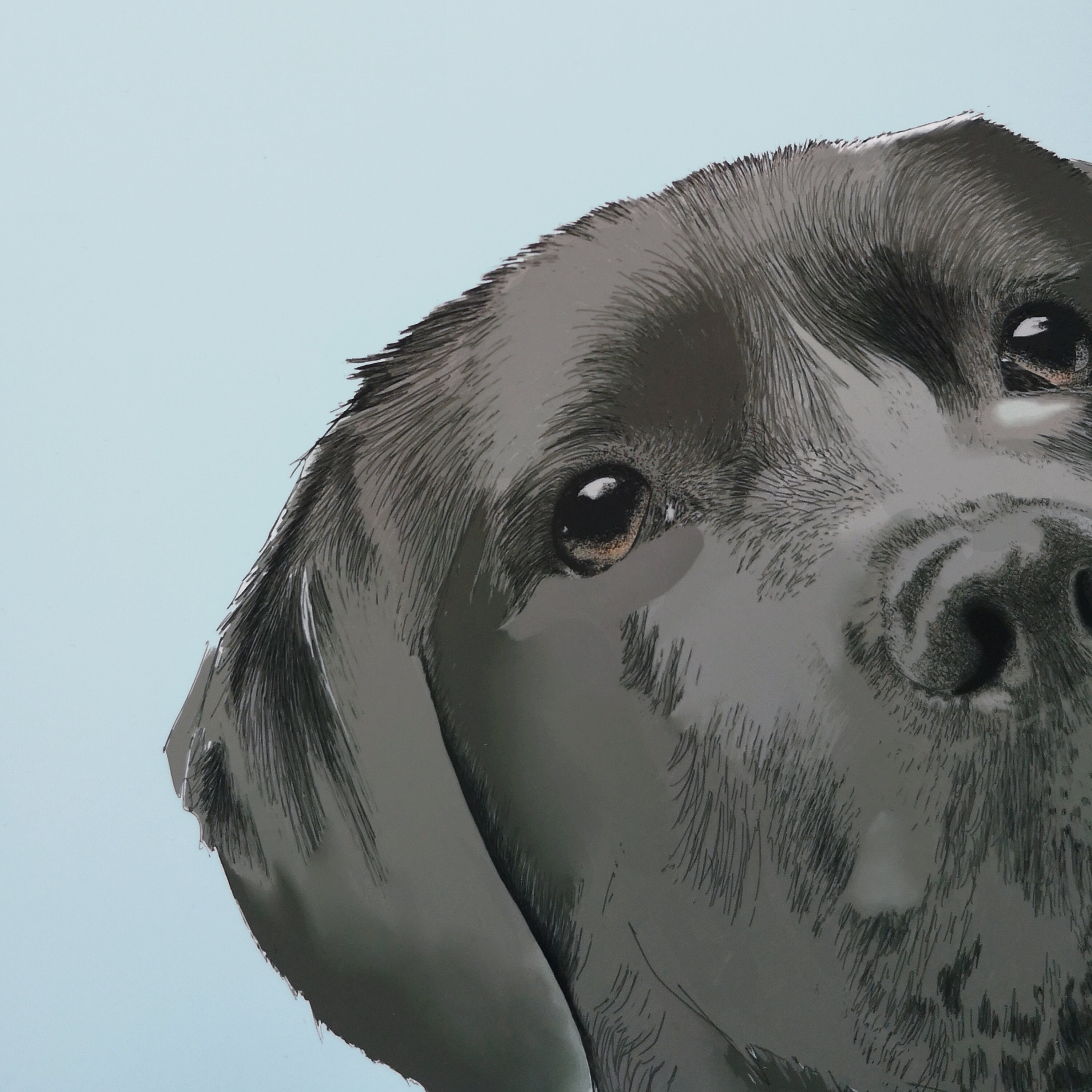 Personalised Black Labrador Print - A4 Labrador Print - Personalised ...