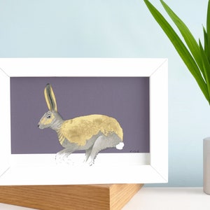 Hare Print - A4 Rabbit Print - New Home Gift - Wildlife illustration - Hare Wall Art